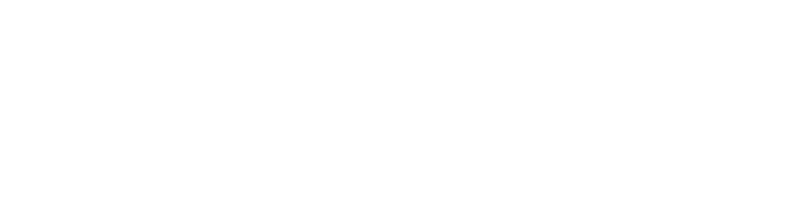 Destination Sport logo