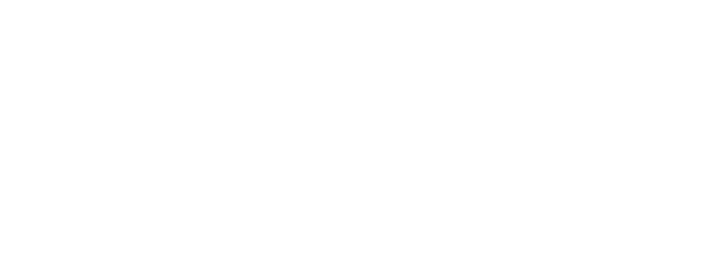 Forte logo